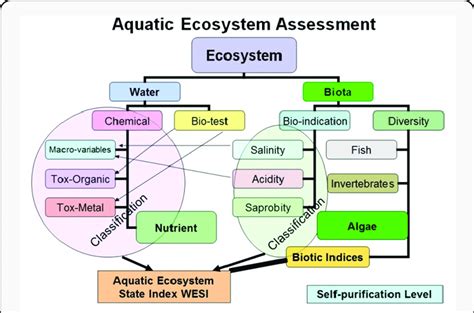 Aquatic Ecosystem State Assessment Model Download Scientific Diagram