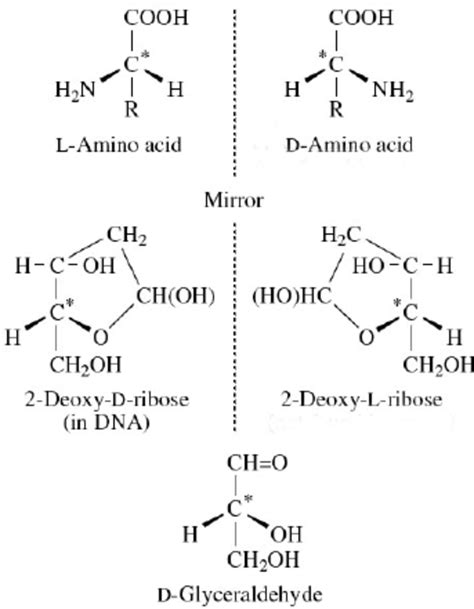 Examples of biomolecules that are isomers; some of which exist in ...