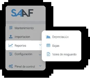 Software De Control De Activo Fijo Sistemas Integrales I Anepsa