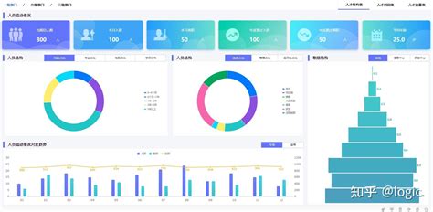 提高企业效率的人力资源数据看板 知乎