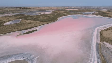 17 Incredible Pink Lakes Pink Lake Australia Guide