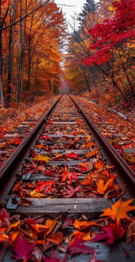 Pin By Kushana On All Things Fall Autumn Landscape Autumn Scenes