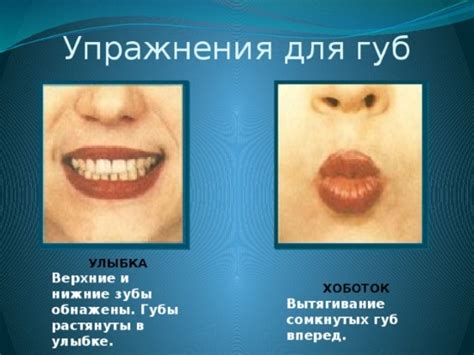 Артикуляционная гимнастика для детей 3-4 лет