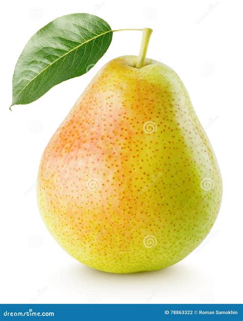 Pear Fruit Isolated On The White Background. Single Fresh Juicy Yellow-green Stock Photo ...