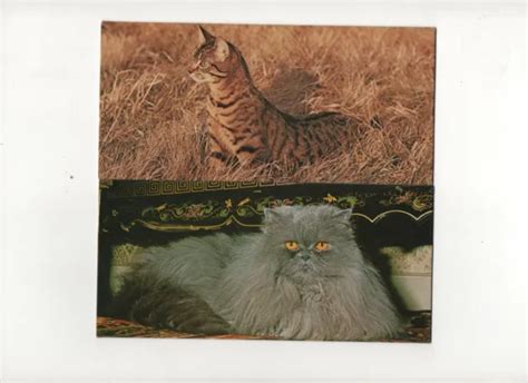 Cartes Merveilles Du Monde Nestl Collection Le Chat N Et N