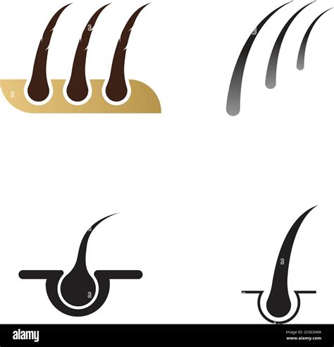 Hair Follicle Symbol Icon Vector Illustration Design Stock Vector Image