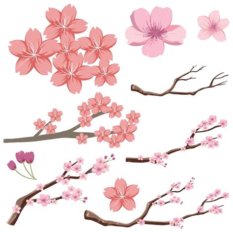 Free Vector Set Of Japanese Sakura Cherry Blossom