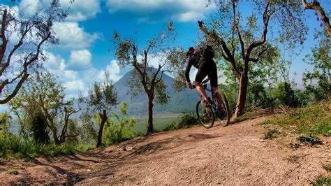 Trail Imperdibile Colli Euganei Tra Arqu Petrarca E Calaone Youtube