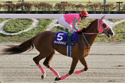 【シリウスs登録馬】オメガギネスなど17頭 競馬ニュースなら競馬のおはなし