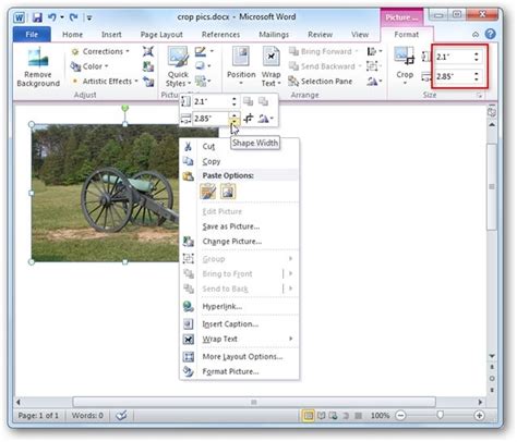 How To Crop Pictures In Word Excel And PowerPoint 2010 Healthy Food