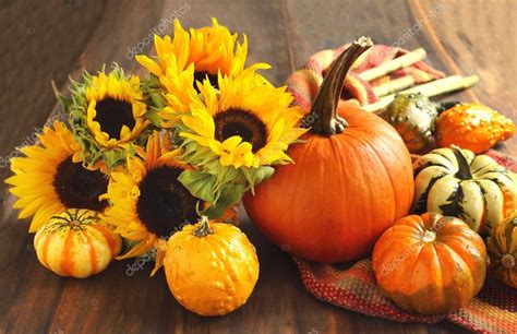 Autumn pumpkins and sunflowers — Stock Photo © Anjela30 #13382590