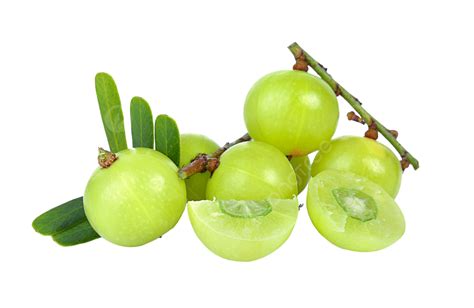 Indian Gooseberry Isolated On White Background Amalaki Amla Organic