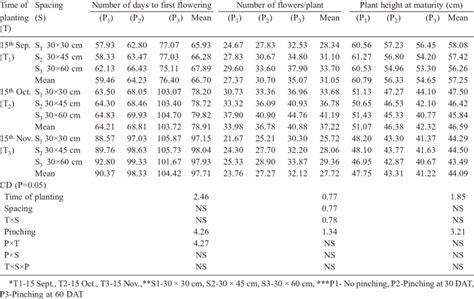 Interaction Effect Of Time Of Planting Spacing And Pinching On Number