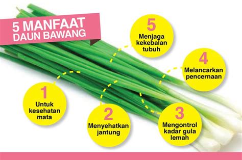 5 Manfaat Daun Bawang Untuk Kecantikan Dan Kesehatan Ajaib