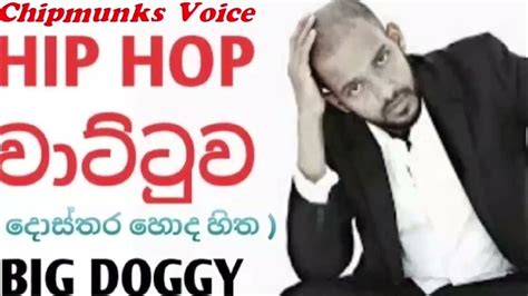 Big Doggy Hip Hop Wattuwa Chipmunks Voice Youtube