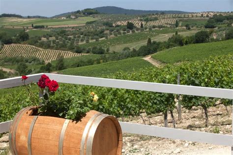 Frescobaldi Castello Nipozzano Cantina E Pernottamento In Chianti