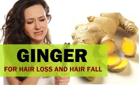 How To Use Adrak Ginger For Hair Growth And Hair Loss Cure