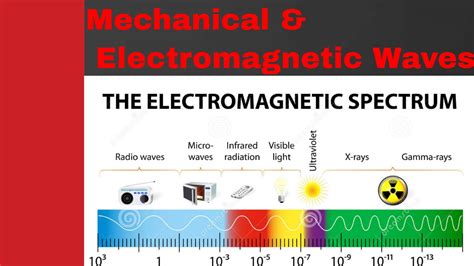 Characteristics Of Longitudinal And Transverse Waves Class 11 State Four Differences Between