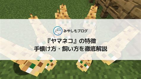 マイクラの『ヤマネコ』とは？特徴や手懐け方・飼い方について解説する