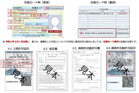 外国人を採用する際は、必ず在留カードの確認を！在留カードの見方とその確認方法 ベリテ社労士・行政書士事務所