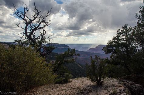 Kaibab National Forest Archives - Geogypsy