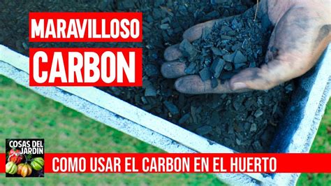 Carbón Vegetal como abono para el suelo Qué es y como se usa el