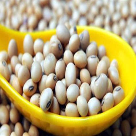 Low In Saturated Fat Fssai Certified Natural Taste Healthy Soybean