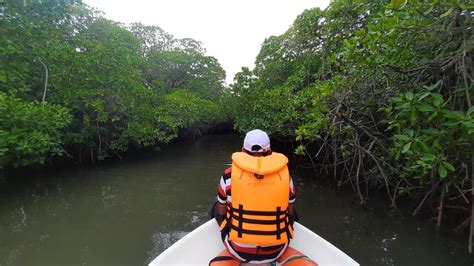 Mangrove Point Kalpitiya Boat Trip YouTube