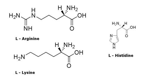 Arginine Lysine And Histidine Analyzed With Lcms Appnote Microsolv