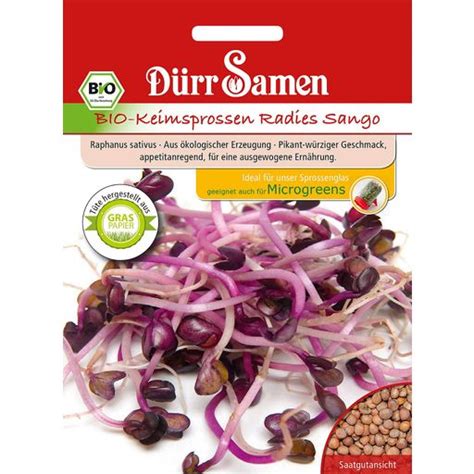 Dürr Samen BIO Keimsprossen Radies Sango 1 Packung Bloomling Deutschland