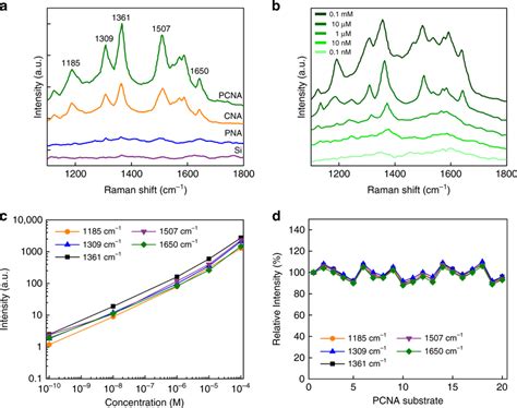 Sers Of R6g On The Pcna Substrate A Measured Raman Spectra Of R6g