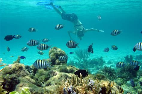 The Bahamas Underwater: Top Dive Sites