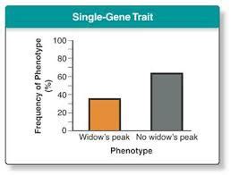 Biology Evolution Flashcards Quizlet