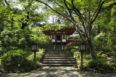 Japanese Garden | Hotel Near Japanese Garden | Nearby Attractions ...