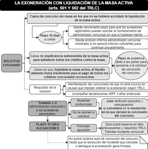 Esquemas De La Exoneración Del Pasivo Insatisfecho La 2ª Oportunidad