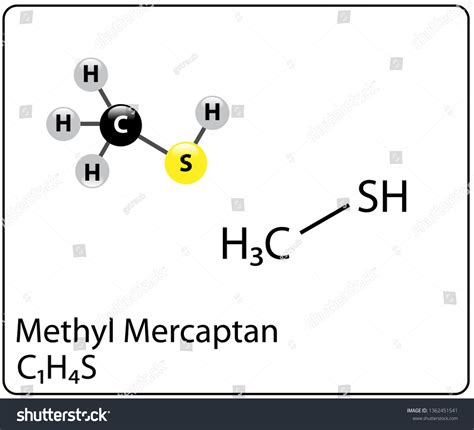 Methyl Mercaptan Molecule Structure Stock Vector (Royalty Free ...