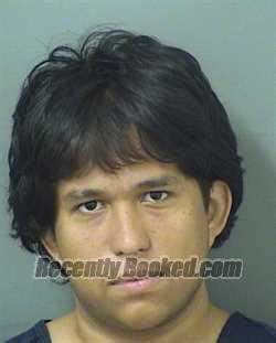 Recent Booking Mugshot For YANDEL RAMOS In Palm Beach County Florida