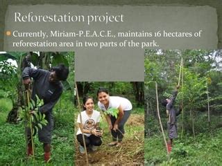 Sierra Madre Wildlife Center Project | PPT