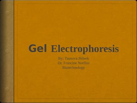 PPTX What Is Gel Electrophoresis A Procedure That Separates