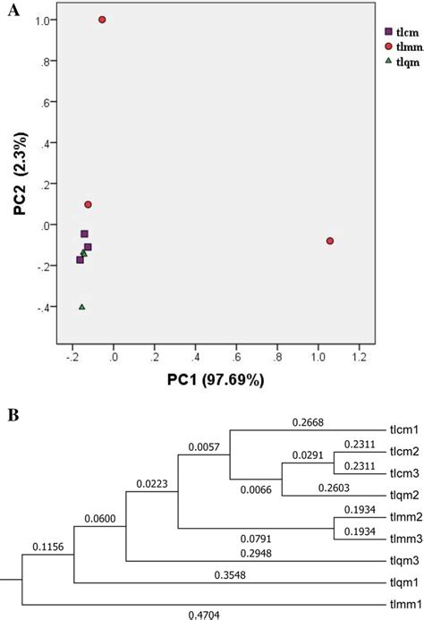 Bacterial Lactase Genes Diversity In Intestinal Mucosa Of Dysbacterial