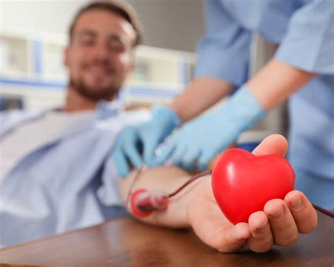 65 Giornata Donatore Del Sangue Vas L Aquila I Premiati Il Capoluogo