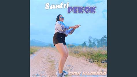 Santri Pekok Dj Remix Youtube Music