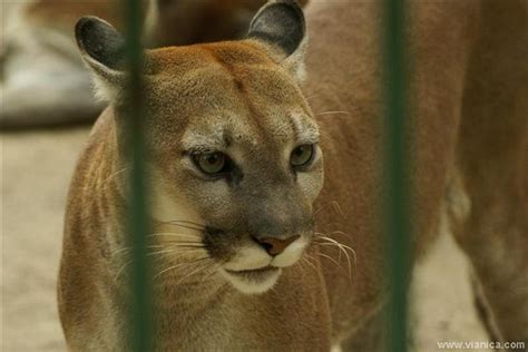 El Zoológico Nacional Nicaragua