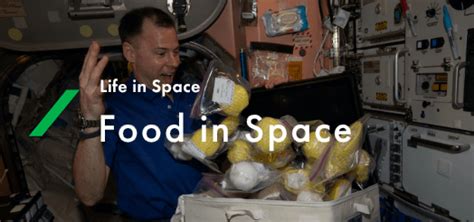 Japanese Space Food And Fresh Food Jaxa Human Spaceflight Technology