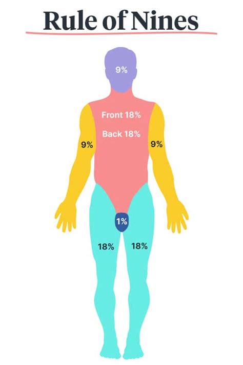 Rule Of Nines Diagram For Burns