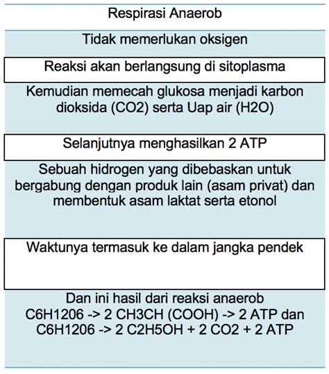 ᐅ Respirasi Anaerob (Pengertian, Skema, Proses, Tahap, Tabel)