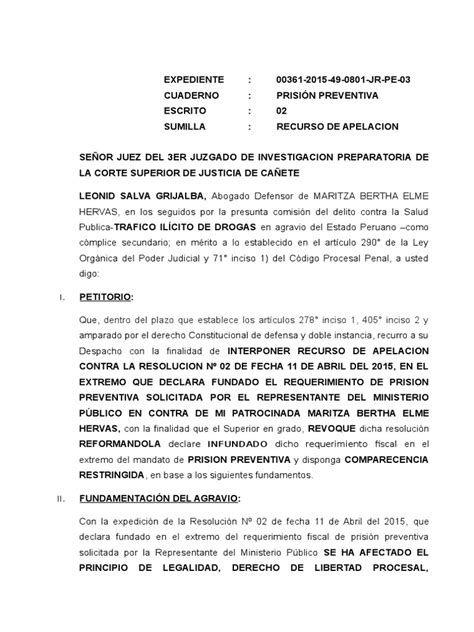 Apelacion Pdf Derecho Penal Ley Procesal