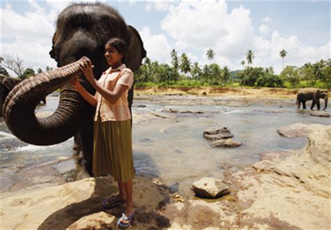 Chandani Und Ihr Elefant Kinderfilm Des Monats Kinderkinob Ro