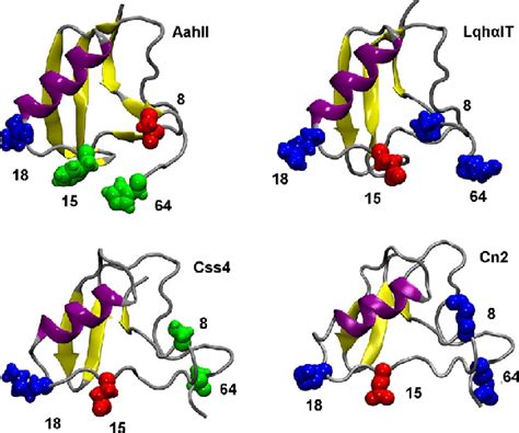 Structures Of Two Scorpion Toxins Aahii Pdb Id Ptx And Lqh It