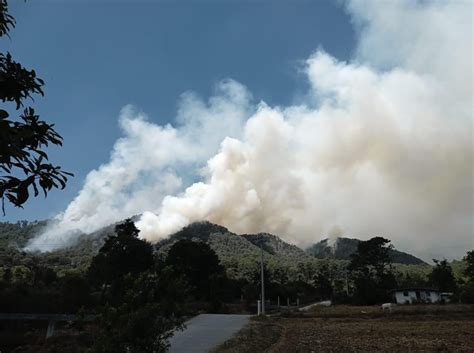 Donato Guerra Incendio Cobra Tres Vidas Y Deja Heridos La Jornada